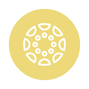 Canvas Icon