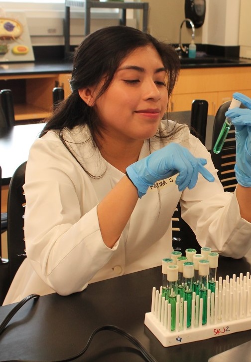 Female student examines water samples