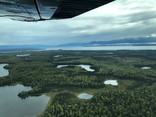 Aerial view from a small airplane of a forested Alaskan landscape dotted with lakes, with mountains and cloudy skies in the distance.