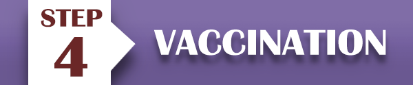 4 - Vaccination