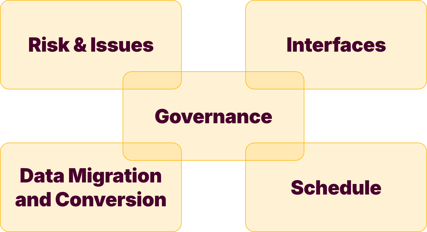 Risk & Issuesl Interfaces; Data Migration & Conversion; Schedule; Governance